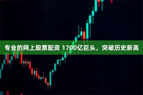 专业的网上股票配资 1700亿巨头，突破历史新高