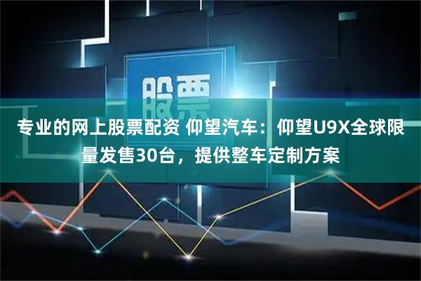 专业的网上股票配资 仰望汽车：仰望U9X全球限量发售30台，提供整车定制方案